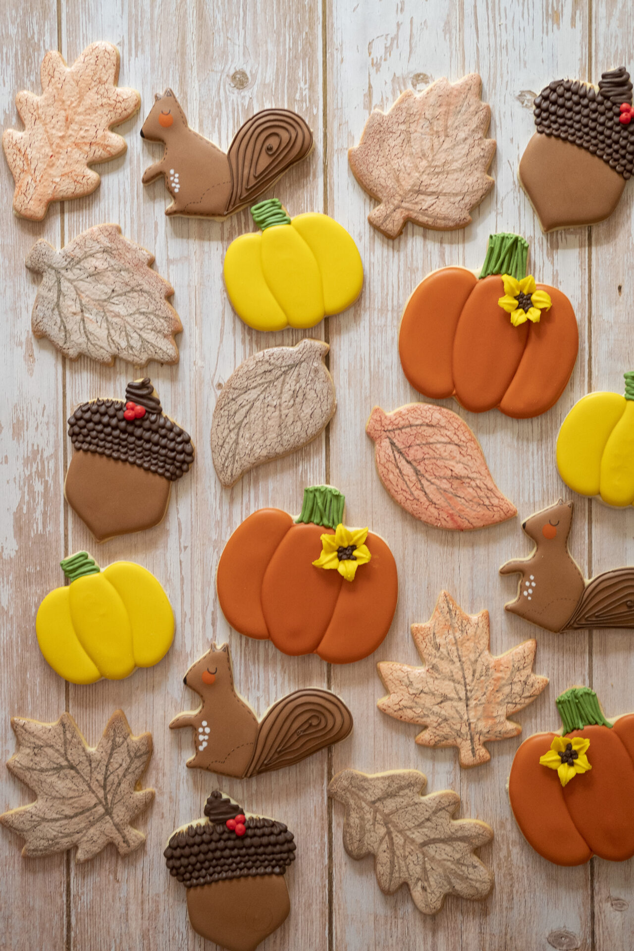 Squirrel 1 - Image 4