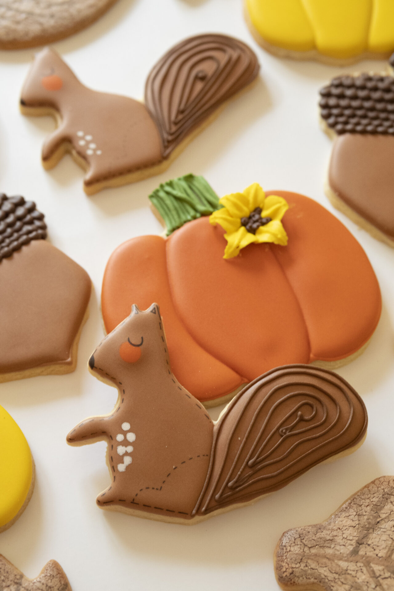 Squirrel 1 - Image 2