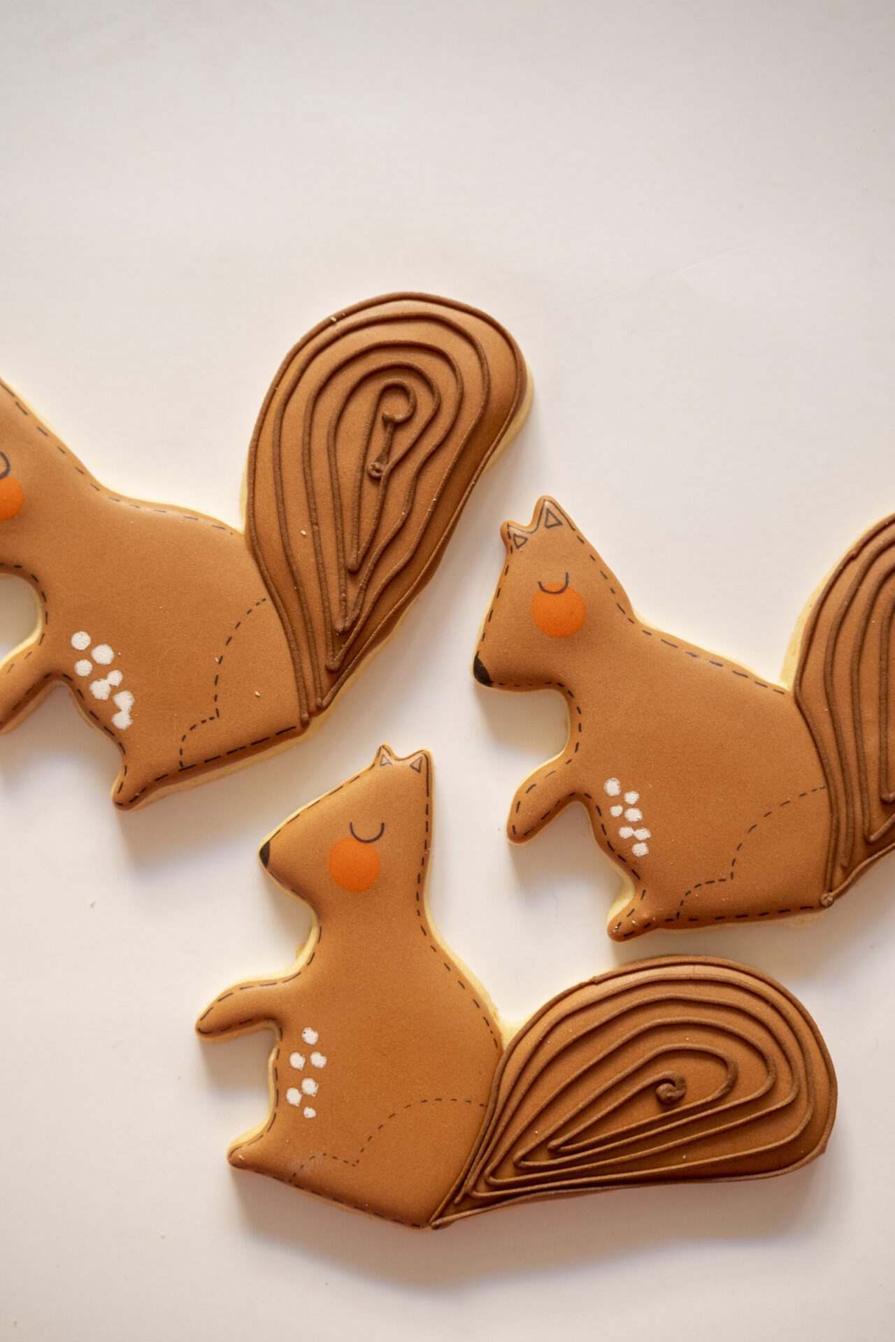 Squirrel 1 - Image 3