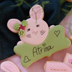 Baby Rabbit with name