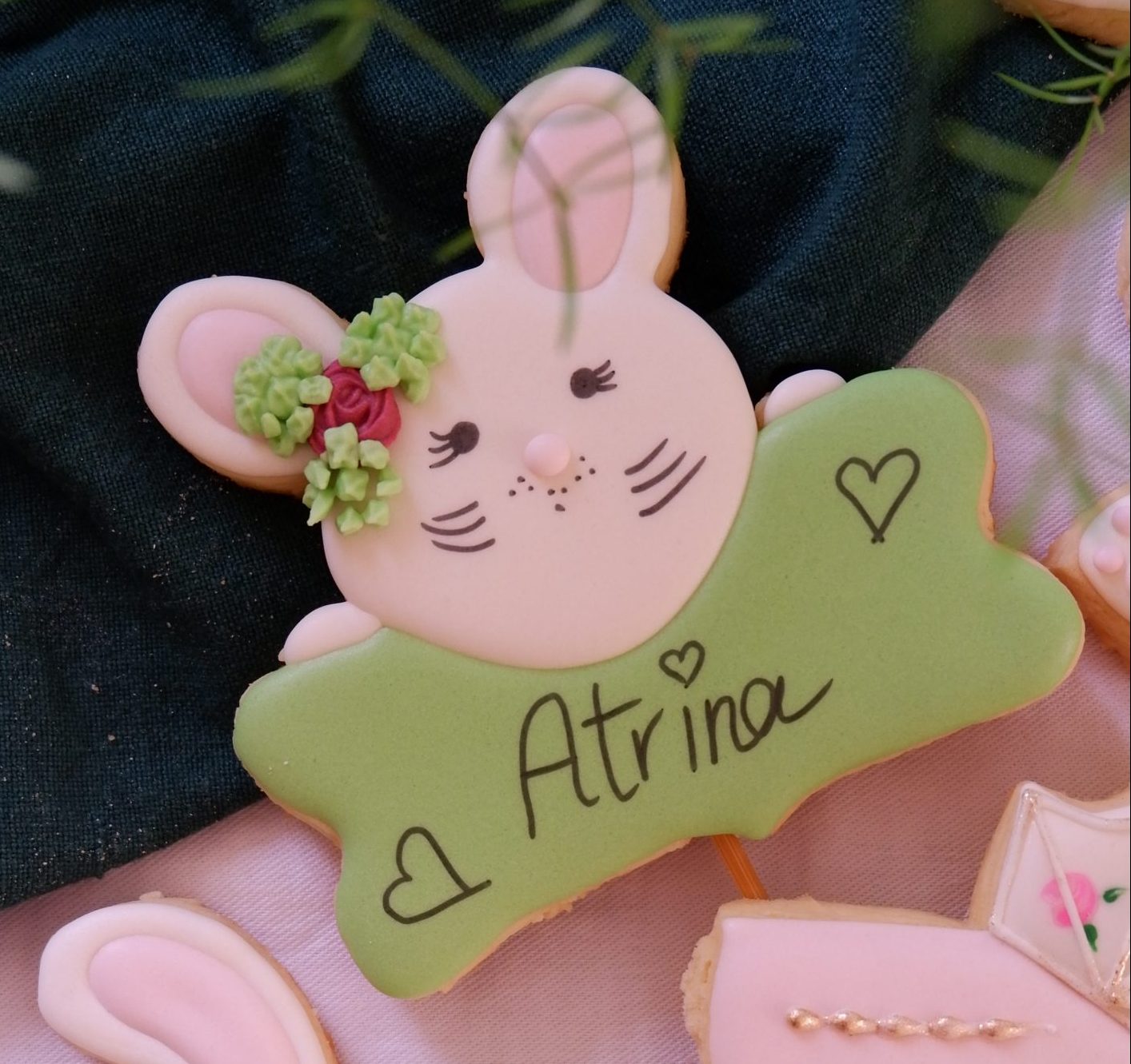 Baby Rabbit with name