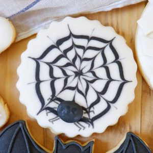 Halloween Spider Net 2