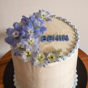 Birthday Cake - Mara Cookies